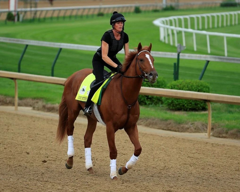 Country House Magnet Horse Racing Picture Work Out