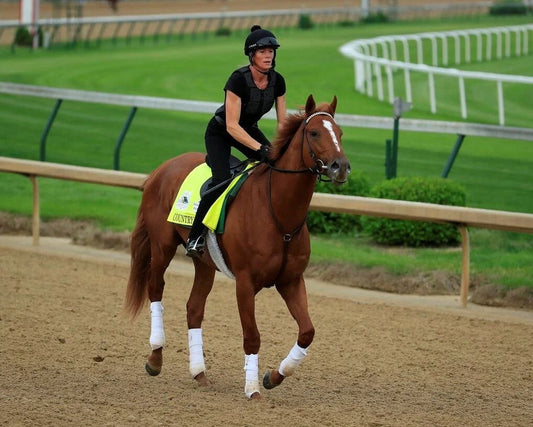 Country House Magnet Horse Racing Picture Work Out