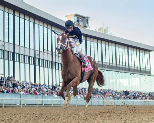 Cyberknife Magnet Horse Racing Picture Jockey