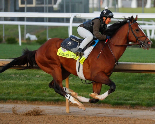 Cyclone Mischief Magnet Horse Racing Picture Jockey