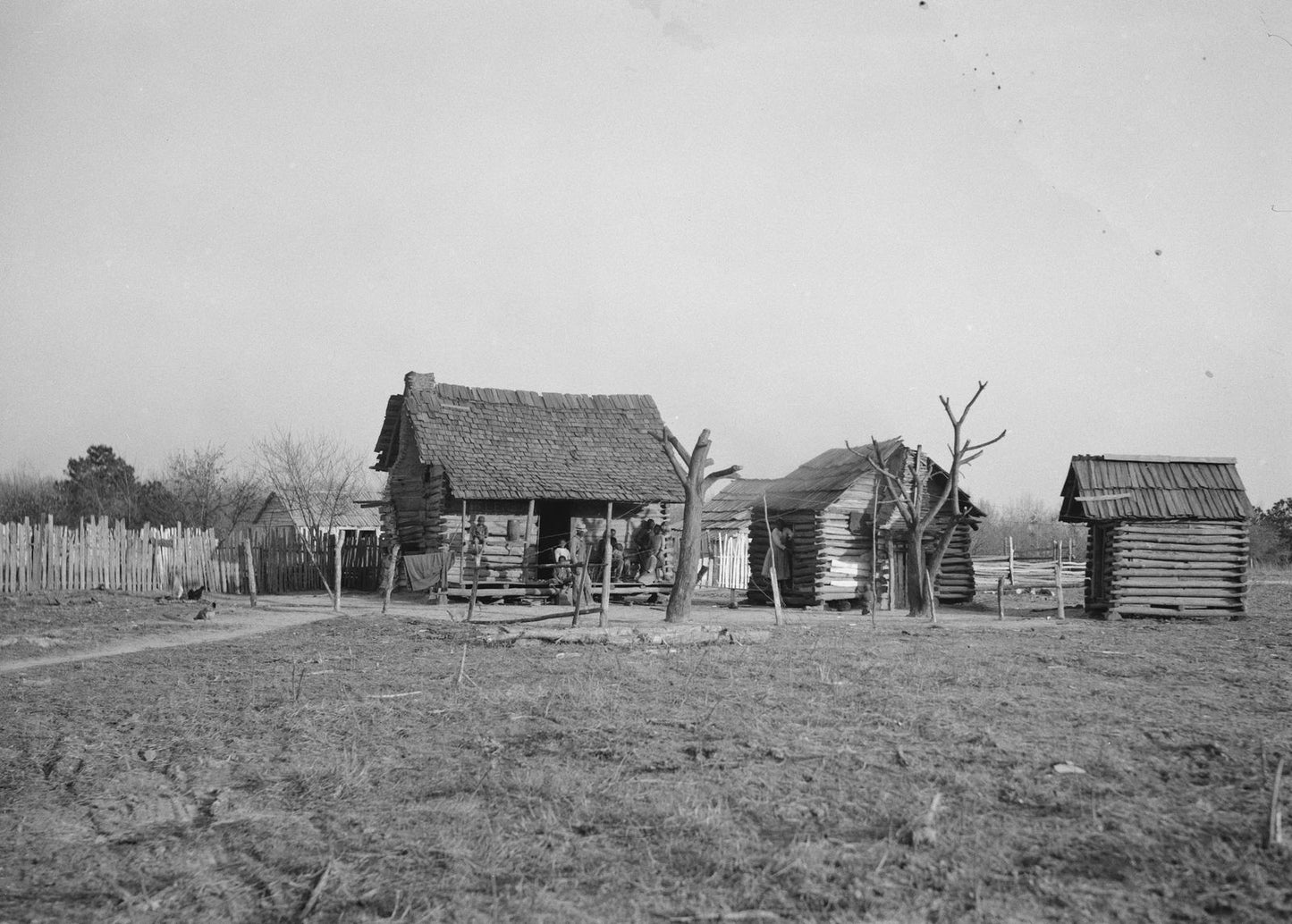 Cabins At Pettway Plantation Gees Bend Alabama Vintage Old Photo