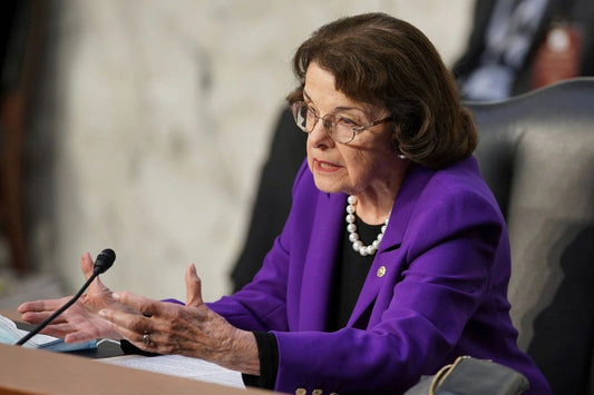 California Us Senator Dianne Feinstein Keychain Picture Keychain Print 6X8