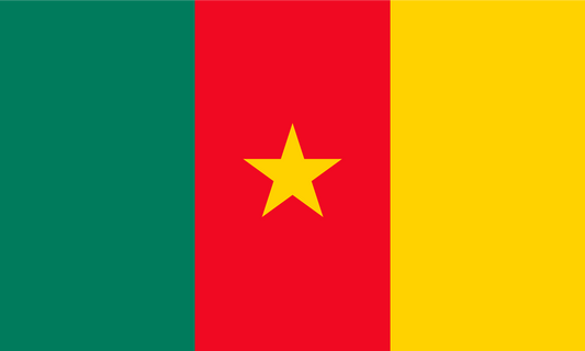 Cameroon Flag Print Poster