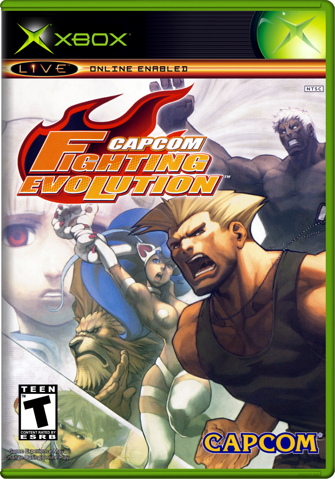 Capcom Fighting Evolution (World) Xbox Print Poster