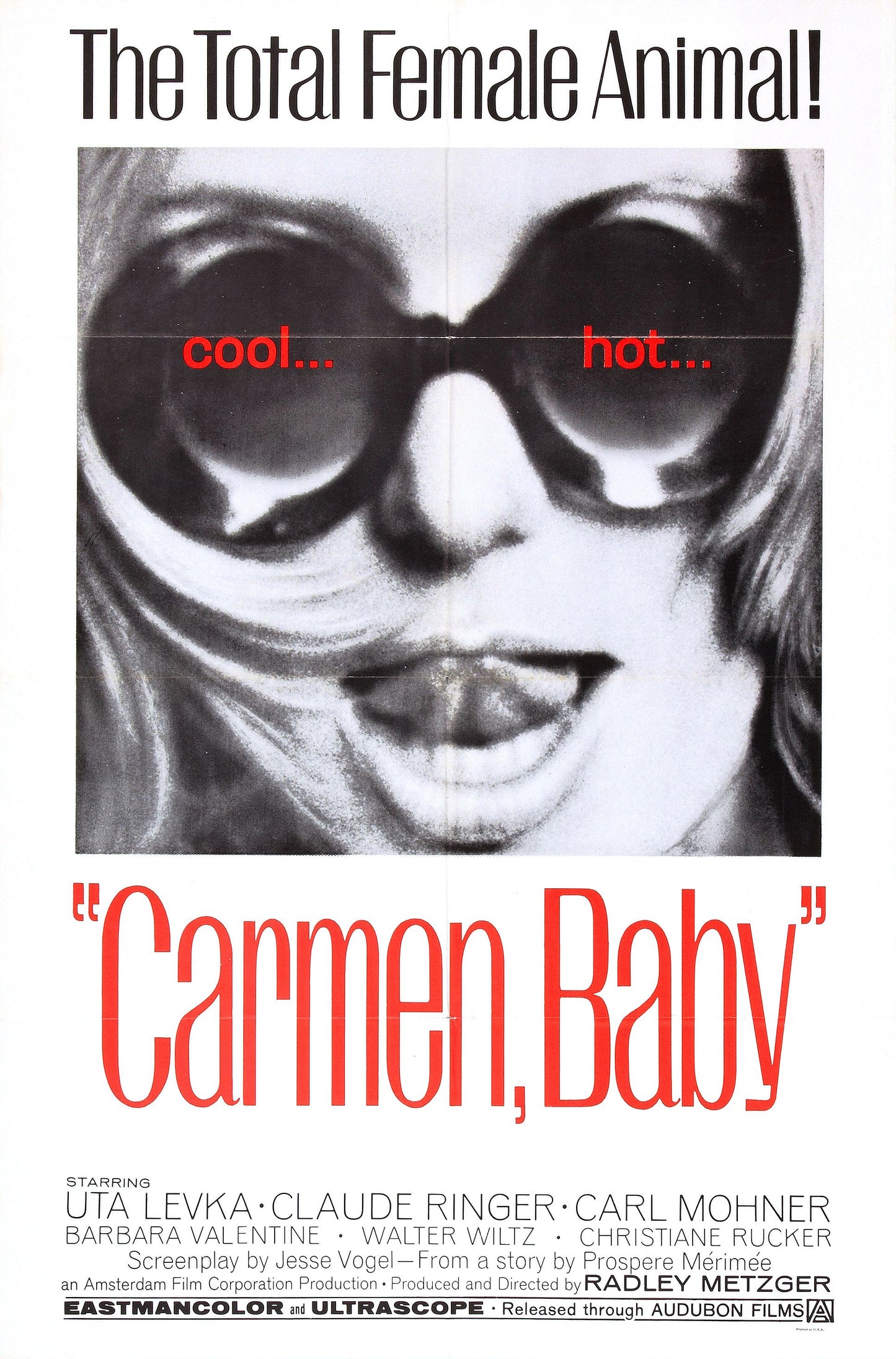 Carmen Baby 01 Movie Magnet