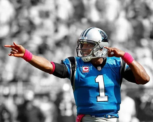 Carolina Panthers Cam Newton Magnet Spotlight Football 1St Down Magnet