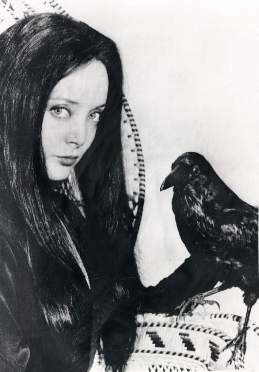 Carolyn Jones As Morticia In Addams Family Publicity Picture Photo Print