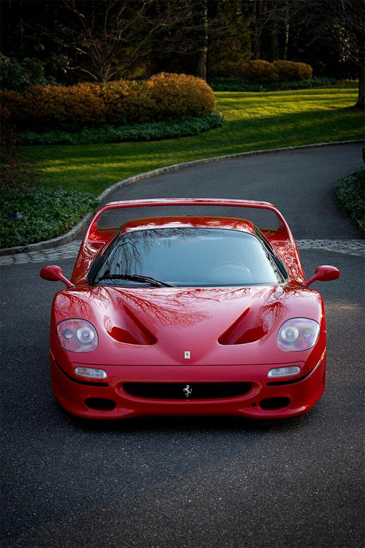 Cars Red Ferrari Land Vehicle Picture Painting Wall Home Decor Jigsaw Puzzle