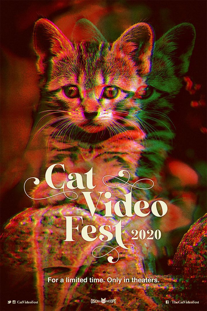 Cat Video Fest 2020 Movie Documentary Painting Jigsaw Puzzle