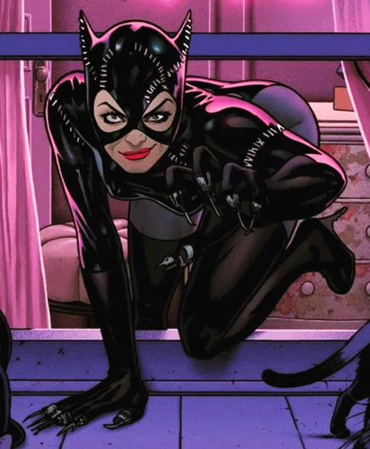 Catwoman Character Pose Animated Print Poster