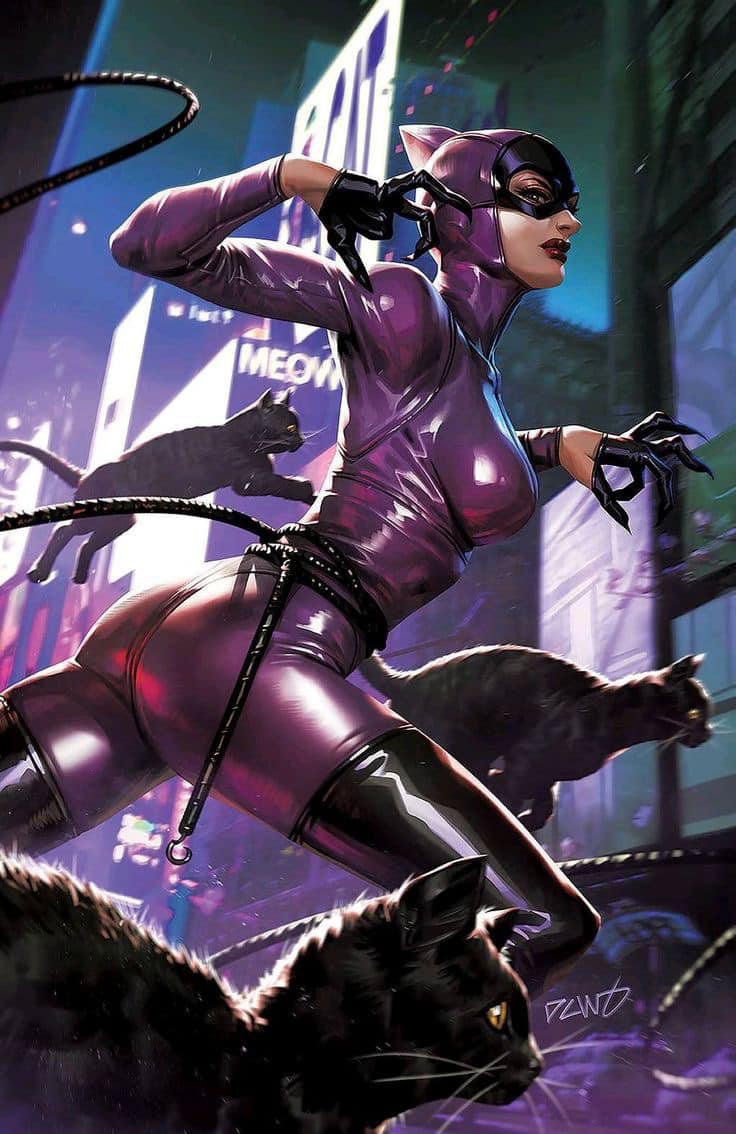 Catwoman Night Scene Print Poster