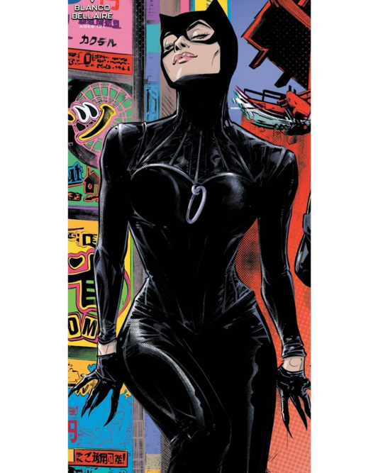Catwoman 3481 Print Poster