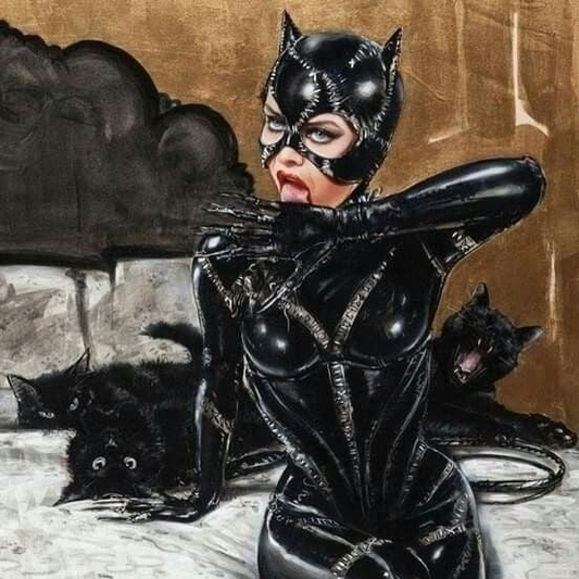 Catwoman Black Costume 5371 Print Poster