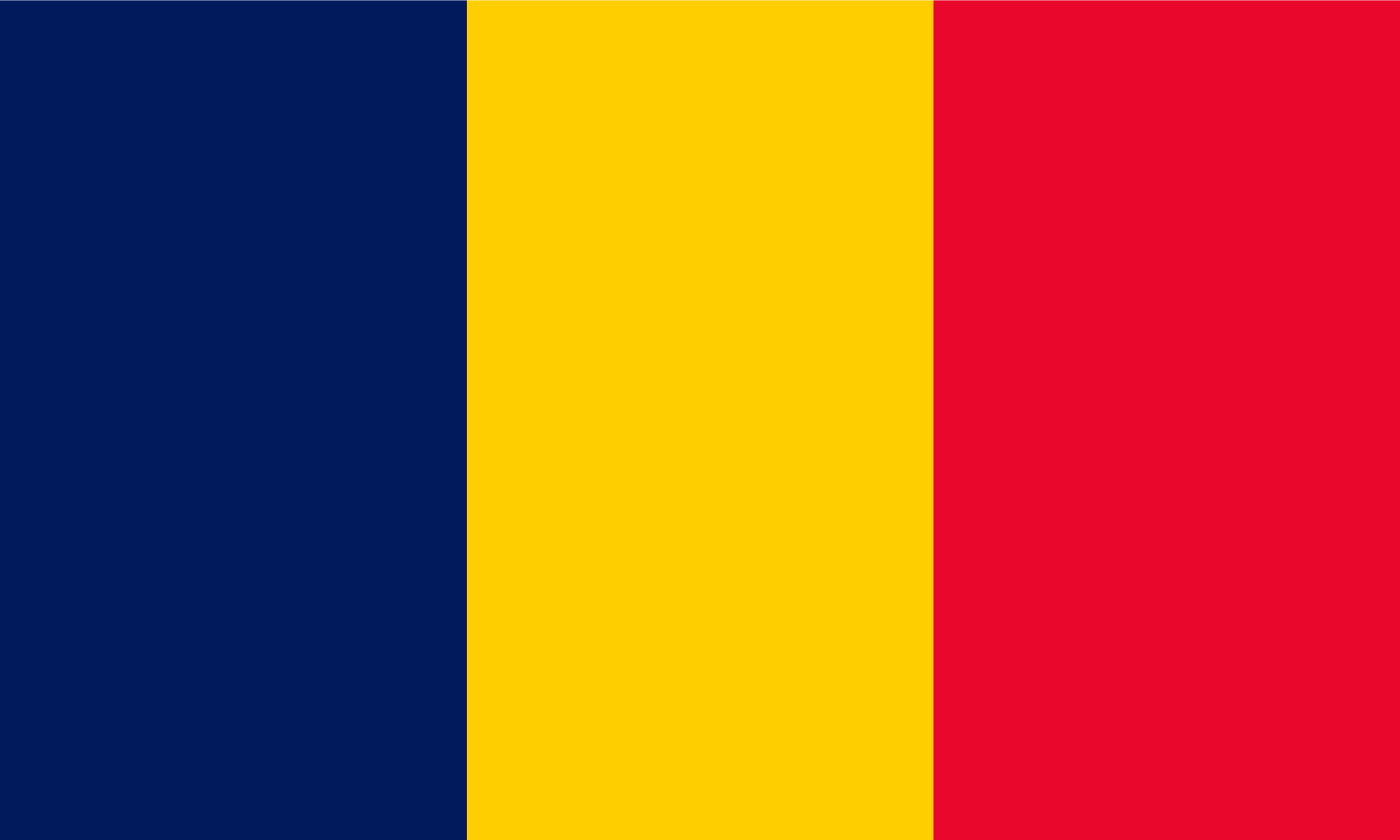 Chad Flag Keychain