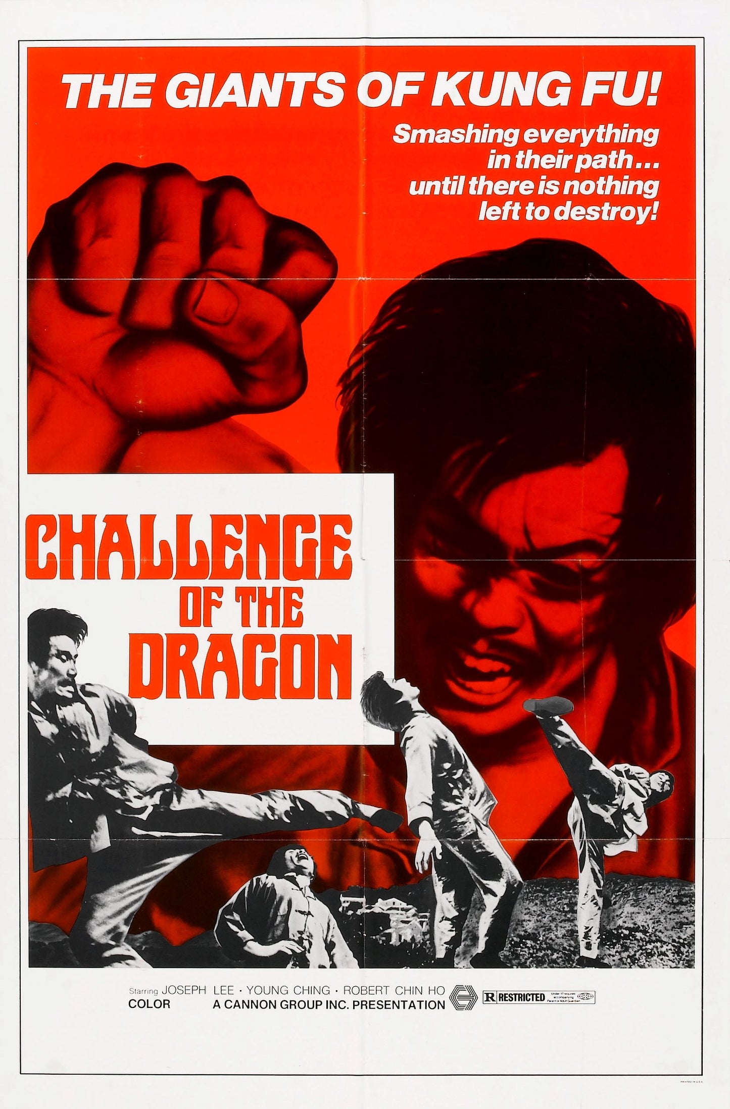 Challenge Of Dragon 01 Movie Magnet