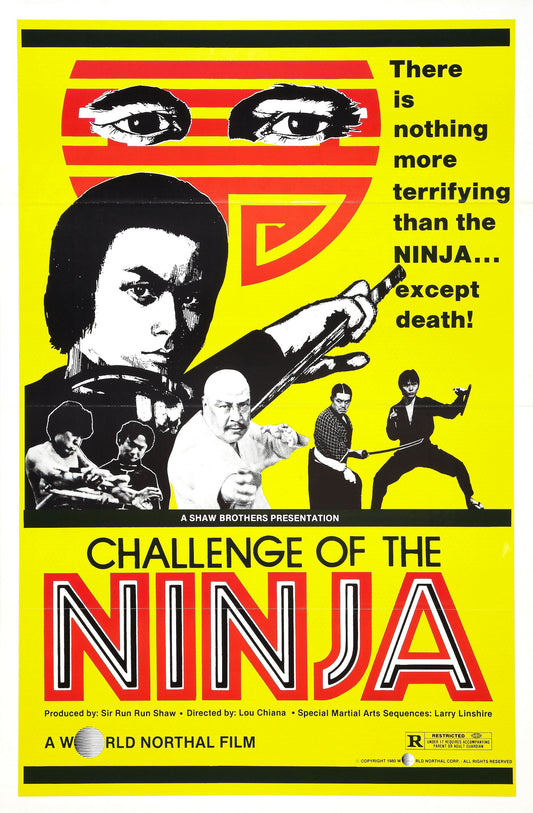 Challenge Of Ninja 01 Movie Magnet