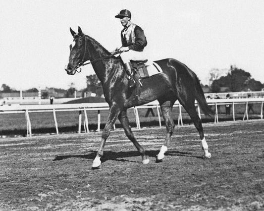 Champion Racehorse Beldame Glossy Photo Warm Up Print