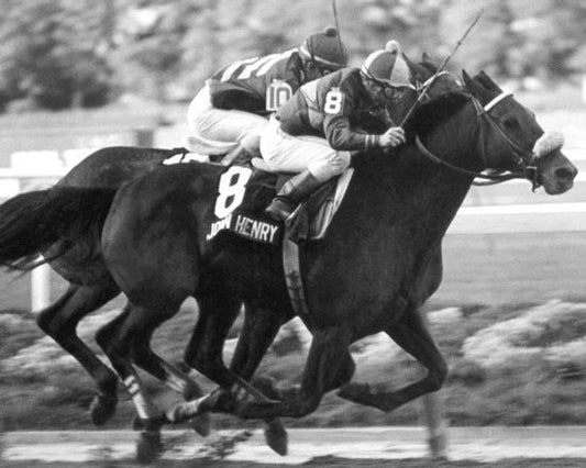 Champion Racehorse John Henry Glossy Keychain Thoroughbred Print