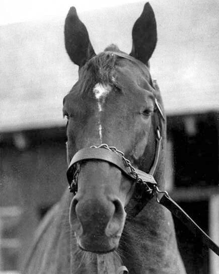 Champion Racehorse Man O War Glossy Keychain Print Thoroughbred Keychain 1
