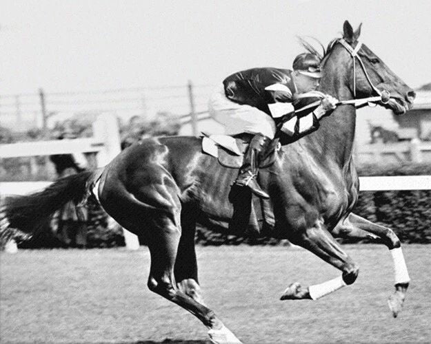 Champion Racehorse Phar Lap Glossy Photo Thoroughbred Print Poster 1