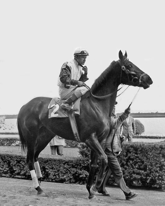 Champion Racehorse Ruffian Glossy Magnet Racing Thoroughbred Print J Vasquez 1