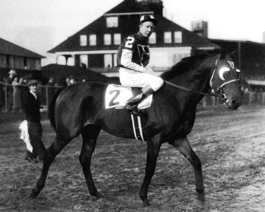 Champion Racehorse Seabiscuit Glossy Keychain Thoroughbred Horse Print
