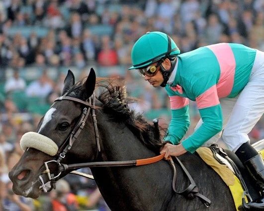 Champion Racehorse Zenyatta Glossy Magnet Mike Smith Magnet Breeders Cup