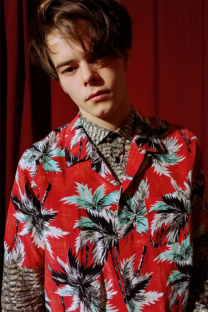 Charlie Heaton Celebrity Cinema Actress Star Jigsaw Puzzle