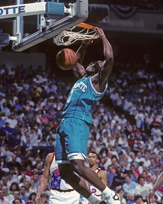 Charlotte Hornets Larry Johnson Glossy Magnet Magnet Basketball Print