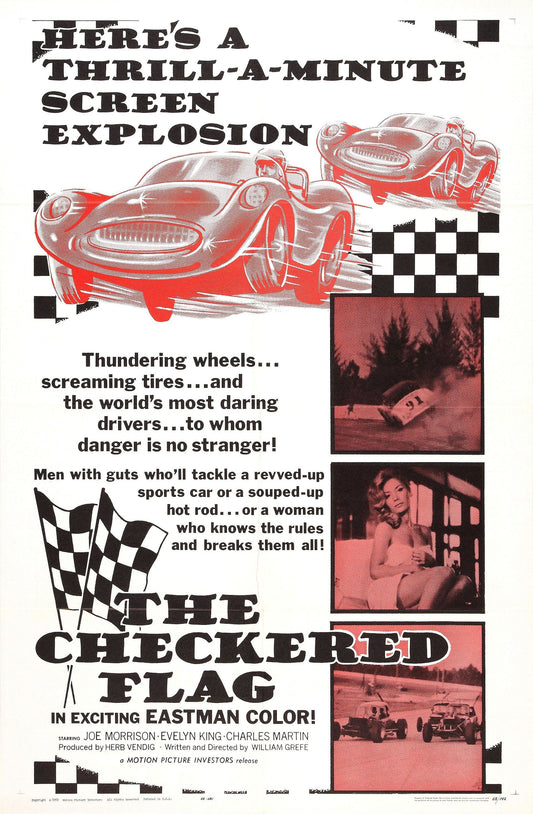 Checkered Flag 01 Movie Magnet