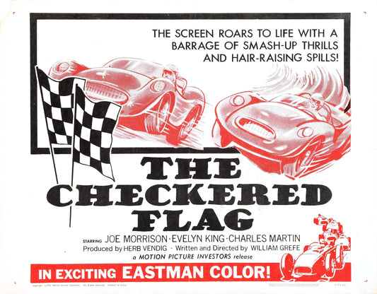 Checkered Flag 02 Movie Magnet