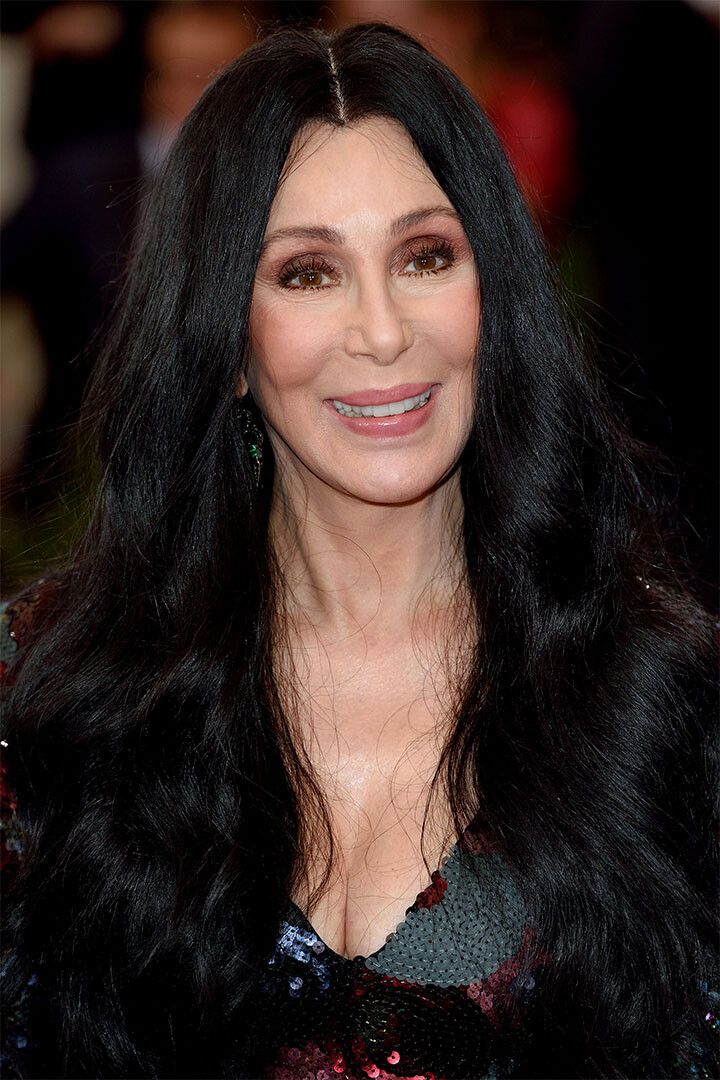 Cher Images Actor American Singer Painting Jigsaw Puzzle