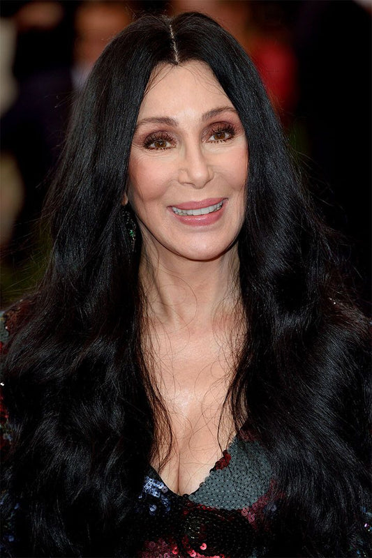 Cher Images Actor American Singer Painting Jigsaw Puzzle