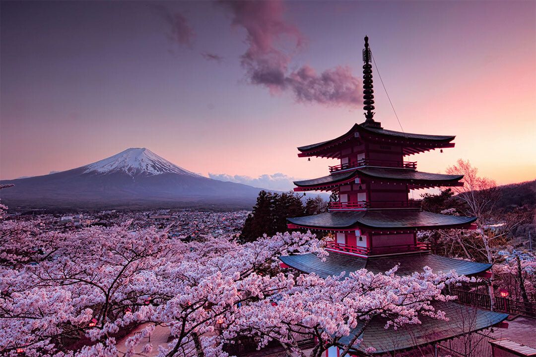 Cherry Blossoms Japanese Castle Mount Fuj Print Keychain