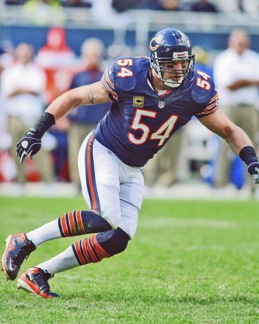 Chicago Bears Brian Urlacher Glossy Photo Nfl Football Print Poster