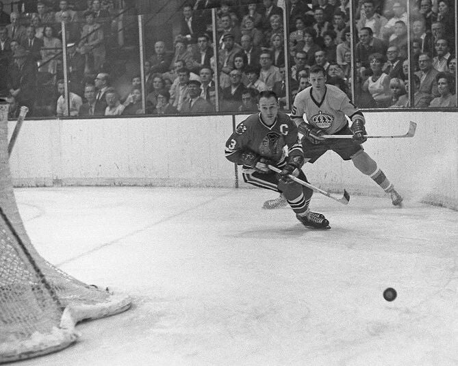 Chicago Blackhawks Pierre Pilote Glossy Magnet Nhl Hockey Print Hof 75 2