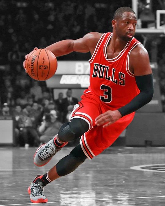 Chicago Bulls Dwyane Wade Glossy Magnet 'Spotlight' Basketball Magnet