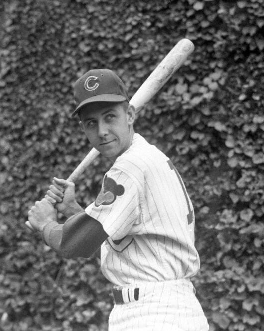 Chicago Cubs Don Kessinger Glossy Photo Baseball Print Poster 1