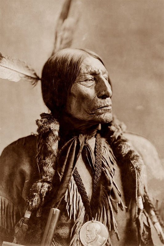 Chief Wolf Robe Cheyenne 1899 Jigsaw Puzzle By Frank A Rinehart Jigsaw Puzzle