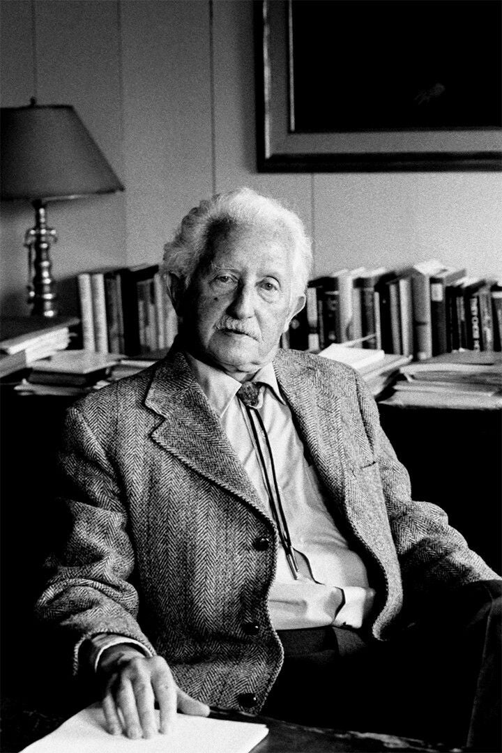 Child Psychologist Erikson Painting Print Canvas Jigsaw Puzzle