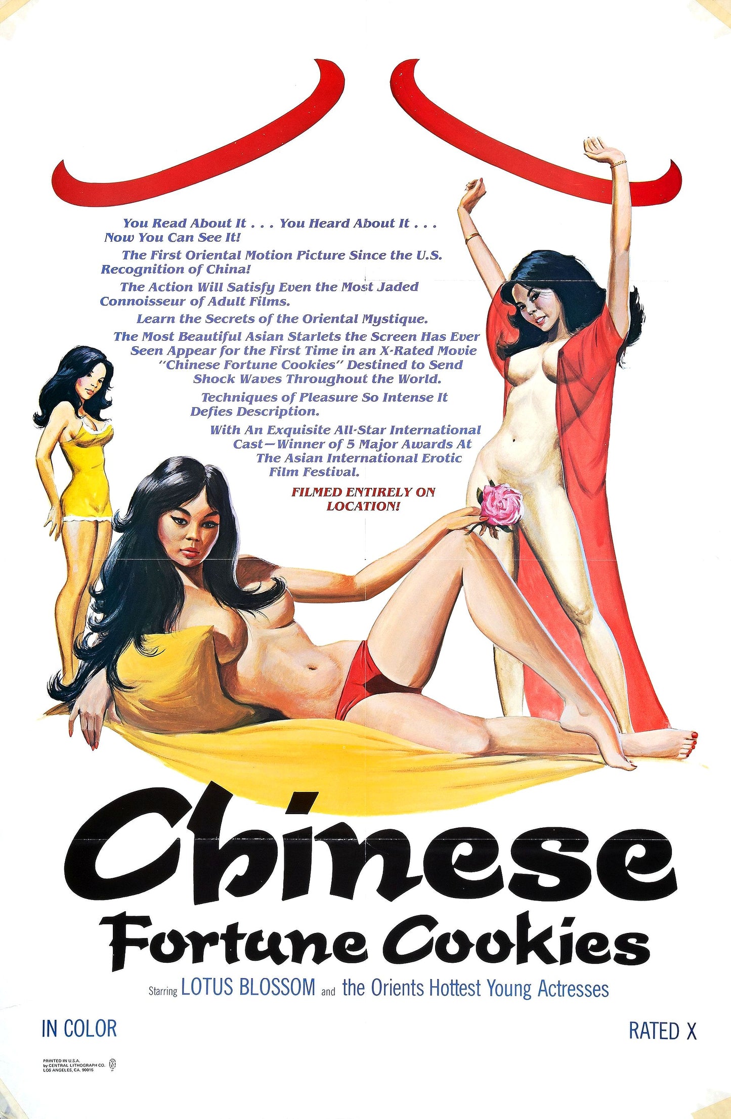 Chinese Fortune Cookies 01 Movie Magnet