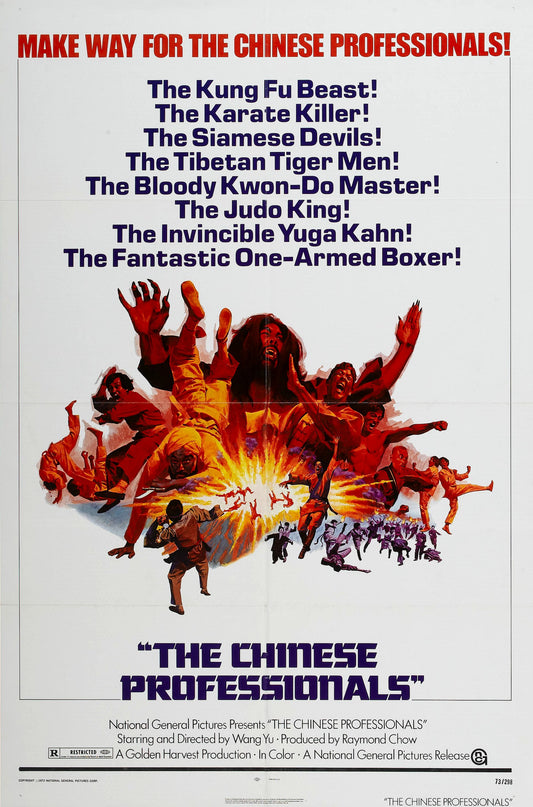Chinese Professionals 01 Movie Magnet