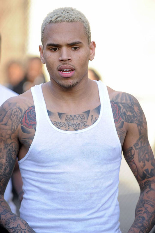 Chris Brown Rapper Music Star Rapper Singer Jigsaw Puzzle