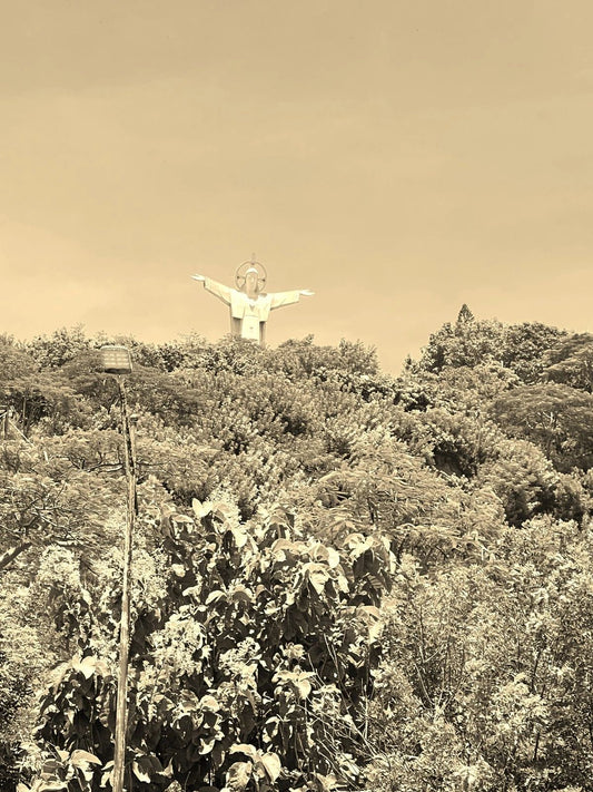 Christ The Redeemer Statue Vung Tau Vietnam Catholic God Picture Magnet