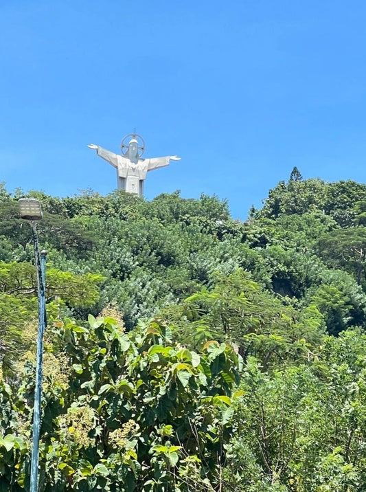 Christ The Redeemer Statue Vung Tau Vietnam Catholic Picture Photo
