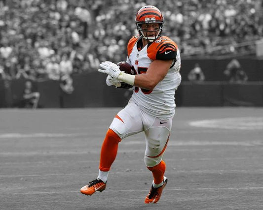 Cincinnati Bengals Tyler Eifert Glossy Photo Spotlight Print Poster