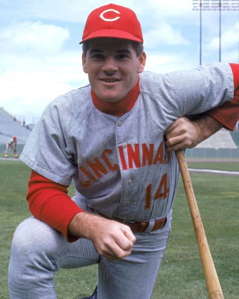 Cincinnati Reds Pete Rose Glossy Photo Portrait Baseball Print Poster