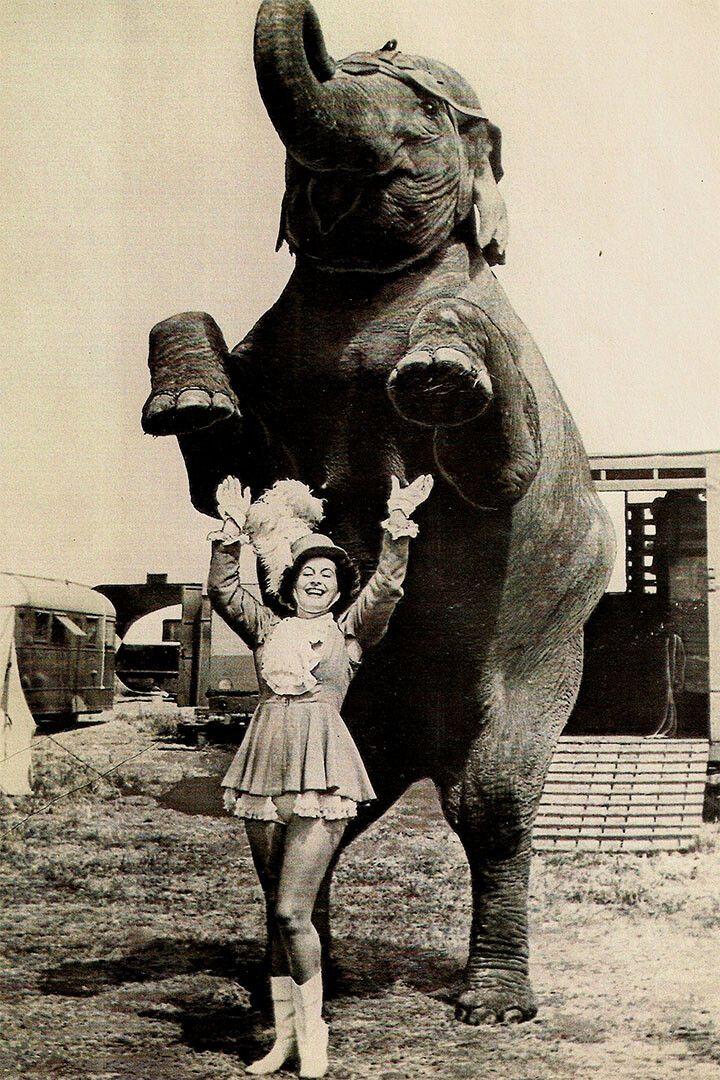 Circus Procession Elephants 1888 Vintage Jigsaw Puzzle