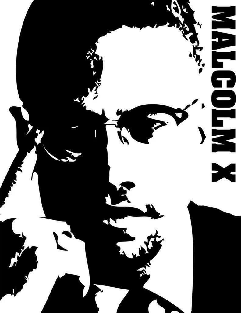 Civil Rights Activist Malcolm X Black History Month Magnet Picture Magnet Print