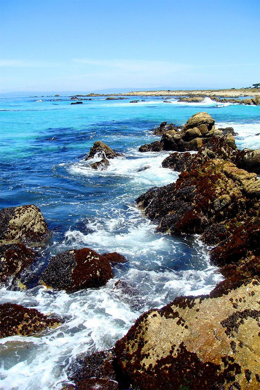 Coastline At Pebble Beach Tourist Area Sea Print Jigsaw Puzzle